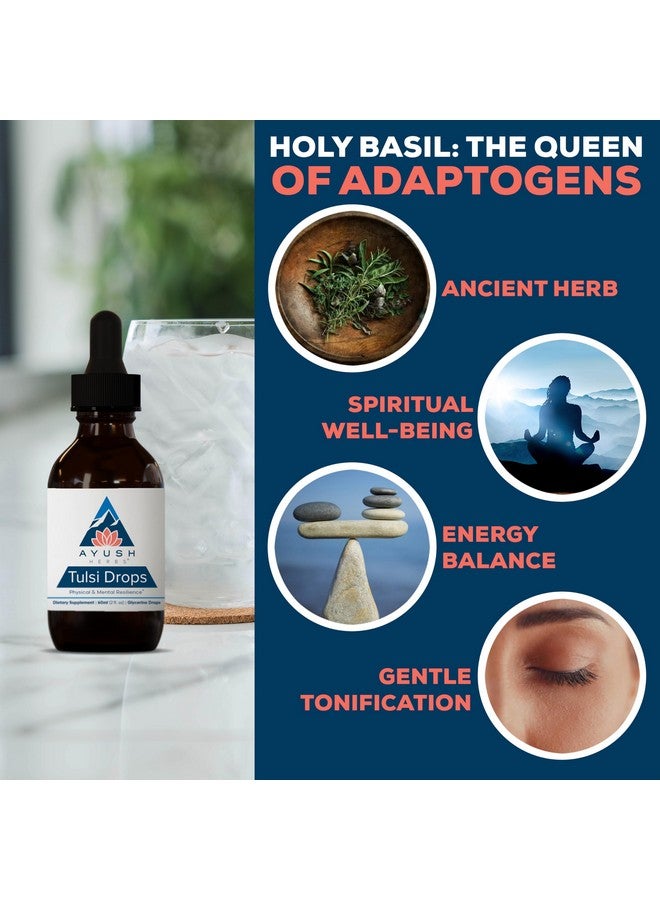 Ayush Herbs Tulsi Drops - Alcohol-Free Tulsi Drops, Holy Basil Gylcerite, Natural Immune-Support Drops for Kids & Adults, Calm & Focus Booster - 2 Fl Oz (80 Servings) - Image 4