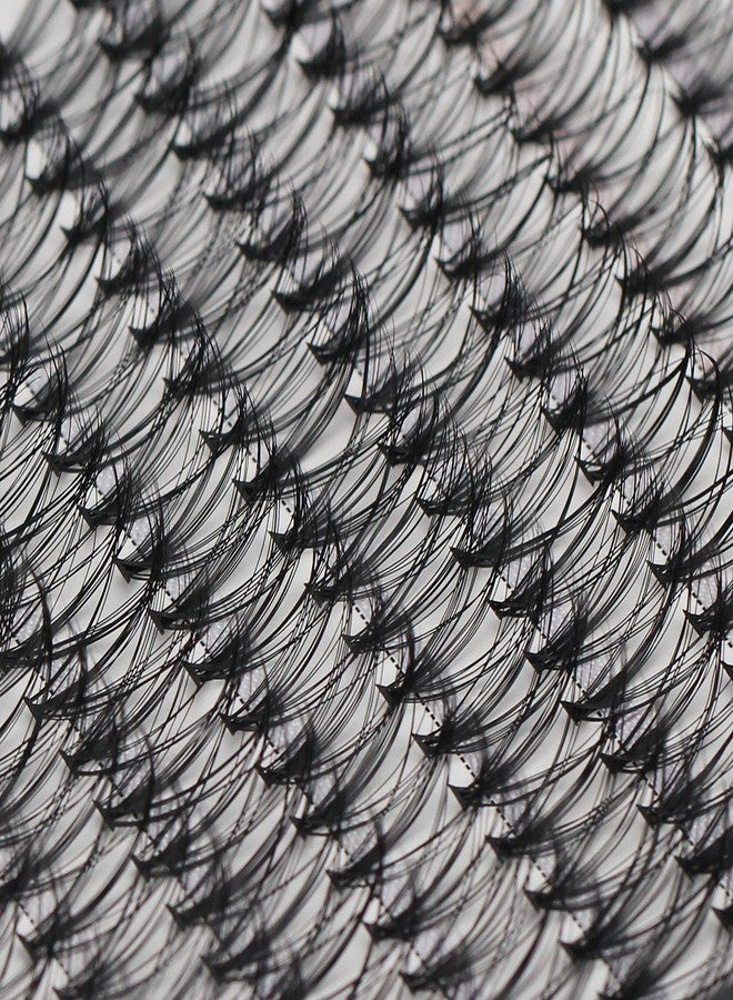 Bodermincer Large Tray 20D Cluster 0.07C,10 Lines,8-10-12-14mm Mixed,9-11-13-15mm Mixed, 10-12-14-16mm Mixed,Natural Long Individual Flare Lashes Cluster False Eyelashes (14-16-18-20mm Mixed) - Image 5