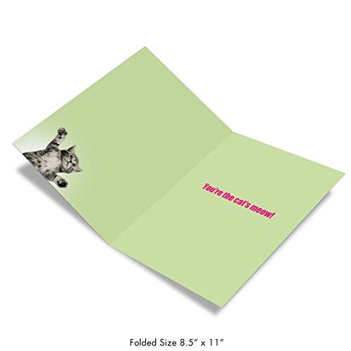 NobleWorks - Jumbo Thank You Card with Envelope (8.5 x 11 Inch), Animal Notecard, Thankful Friend - This Much Kitten J3612 - Image 2