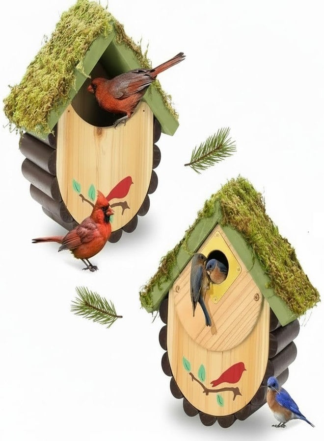 CEDAR ALPHA Moss Covered Wooden Birdhouse for Small Birds, Handcrafted Wood Design - Image 1