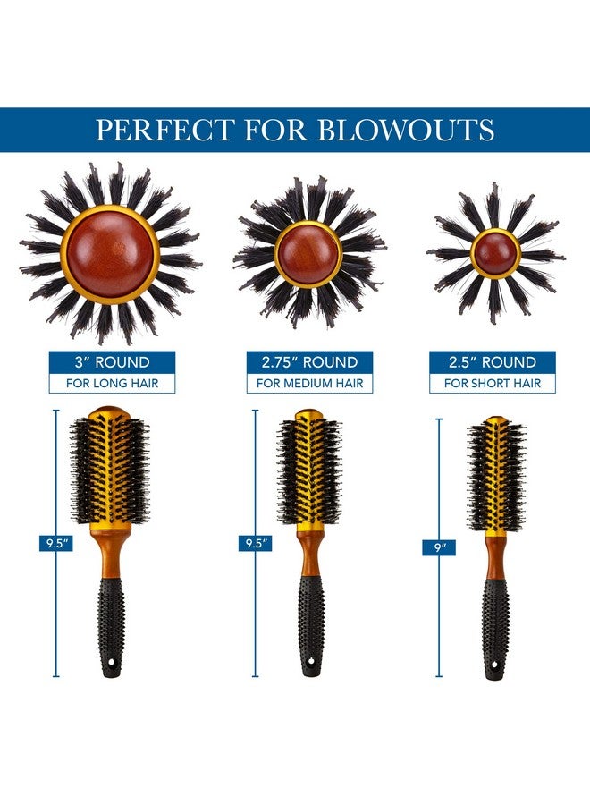 Cantor Medium Round Blow Dry Brush Boar Bristle Thermal Ceramic Barrel Professional Antistatic Roller Hair Brush For Styling And Blow Drying 14 Row For Medium To Long Hair By Cantor - Image 2