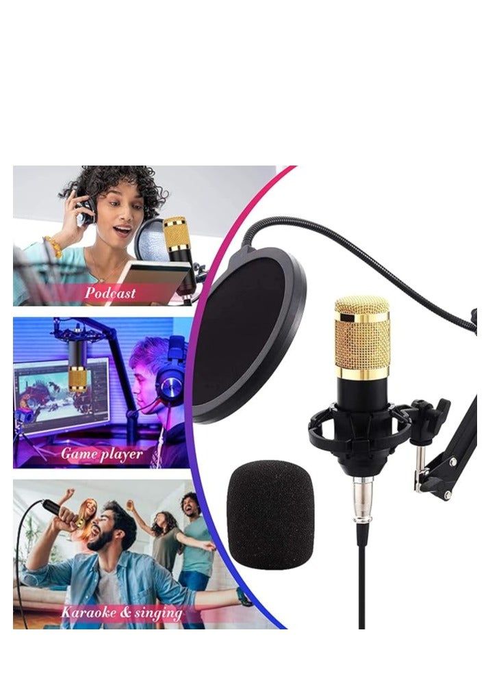 BM 850 Condenser Microphone Bundle Podcast Equipment Bundle with V8 Live Sound Card for Live Streaming, Singing, YouTube, Gaming, Smart Volume Adjustable Mixer Black - Image 2