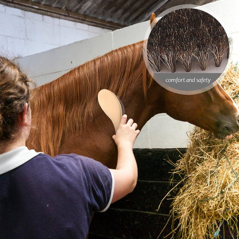 Sturdy Horse Grooming Brush with Handle for Livestock Fur Cleaning and Stable Maintenance - Image 4
