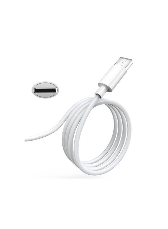 NIBEMINENT Type-C Data Sync Cable For Apple White - Image 2