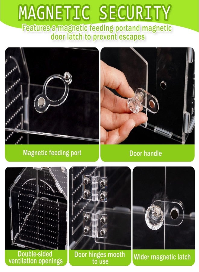 Orchidleaf Jumping Spider Enclosure, 8.8" x 7.1" x 8.2" Acrylic Tarantula Enclosure with Feeding Hole and Magnetic Door, Reptile Terrarium Habitat for Tarantula, Spiders, Beetle, Mantis - Image 3