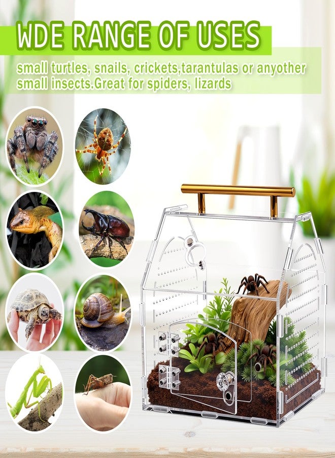 Orchidleaf Jumping Spider Enclosure, 8.8" x 7.1" x 8.2" Acrylic Tarantula Enclosure with Feeding Hole and Magnetic Door, Reptile Terrarium Habitat for Tarantula, Spiders, Beetle, Mantis - Image 4