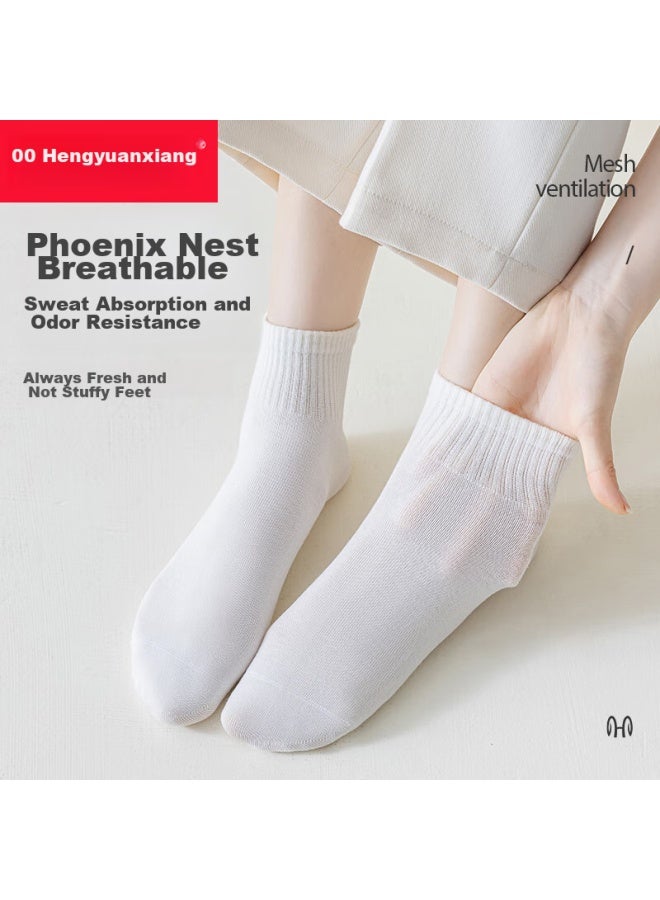 Women'S Socks, Breathable, Durable, Sweat-Absorbing, Simple, Versatile, Short Socks, 6 Pairs - Image 5