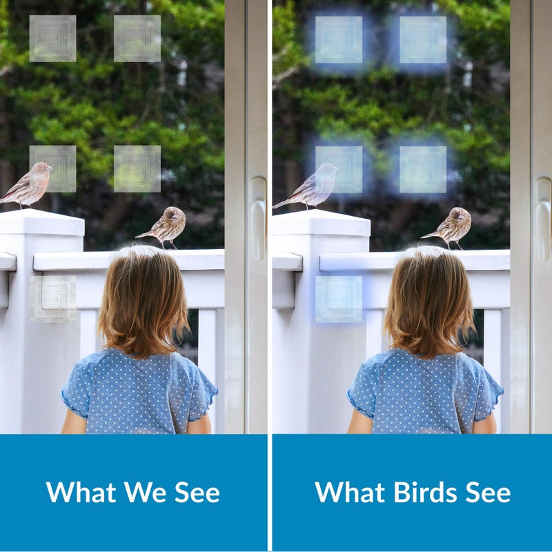 Artscape Bird's Eye View | UV-Reflective Anti-Collision Window Film | Protects Birds from Glass Collision | Four-Pack | 6 x 6 Inches Each | Made in USA - Image 3