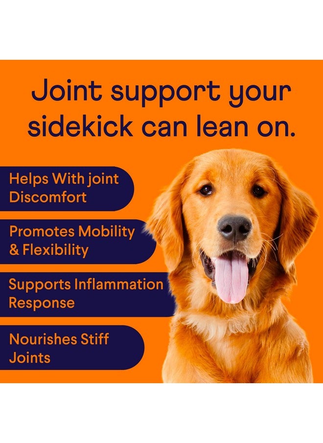 FINN Finn Hip and Joint Supplement for Dogs | Glucosamine, Chondroitin & MSM for Joint and Mobility Support | with Turmeric, BioPerine and B-Vitamins | 90 Soft Chews  - Image 2
