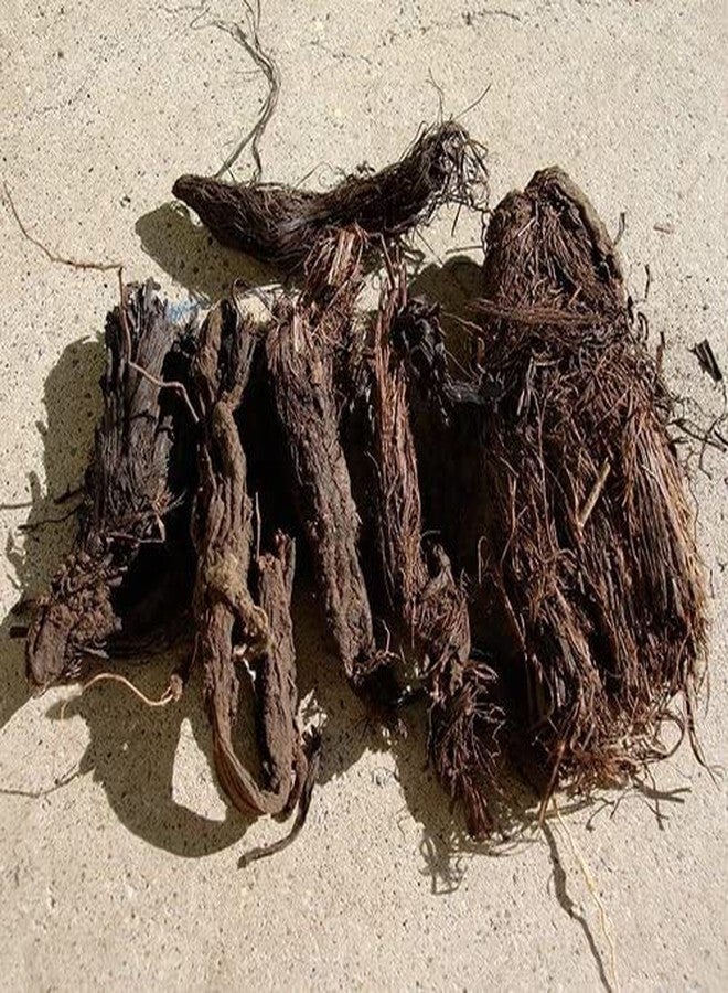 VedoMax Jatamansi Root | Baalchad | Jatamansi roots | Nardostachys - 200 gm - Image 5