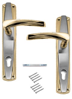Golden/Silver