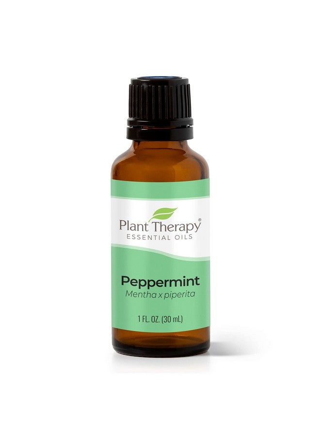 Plant Therapy Peppermint Essential Oil 30 Ml (1 Oz) 100% Pure Undiluted Natural Aromatherapy Diffuse & Topical Use Diy For Energy Tension Soothing Massage Respiratory & Digestion - Image 1