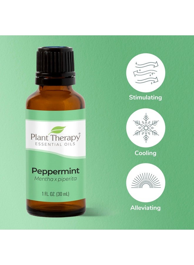 Plant Therapy Peppermint Essential Oil 30 Ml (1 Oz) 100% Pure Undiluted Natural Aromatherapy Diffuse & Topical Use Diy For Energy Tension Soothing Massage Respiratory & Digestion - Image 2