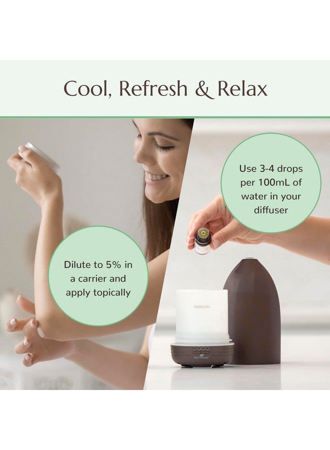 Plant Therapy Peppermint Essential Oil 30 Ml (1 Oz) 100% Pure Undiluted Natural Aromatherapy Diffuse & Topical Use Diy For Energy Tension Soothing Massage Respiratory & Digestion - Image 3