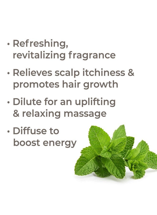 Plant Therapy Peppermint Essential Oil 30 Ml (1 Oz) 100% Pure Undiluted Natural Aromatherapy Diffuse & Topical Use Diy For Energy Tension Soothing Massage Respiratory & Digestion - Image 4