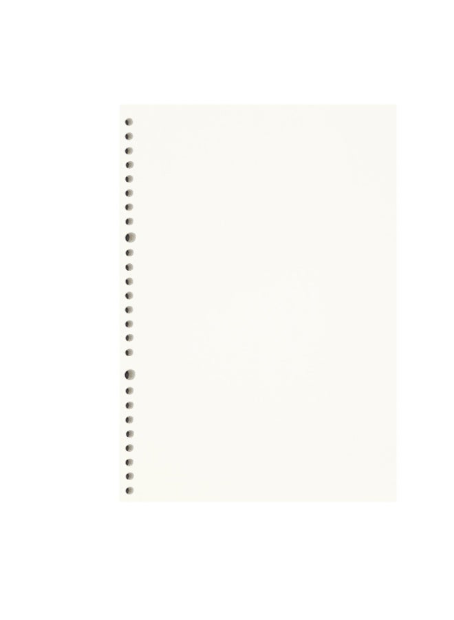 Zelten 2 Pack B5 120 Sheets/240 Pages Blank Loose Leaf Punched Paper Refills Paper for 26 Hole Binder Personal Organizer Diary Notebook Refillable Planner - Image 2