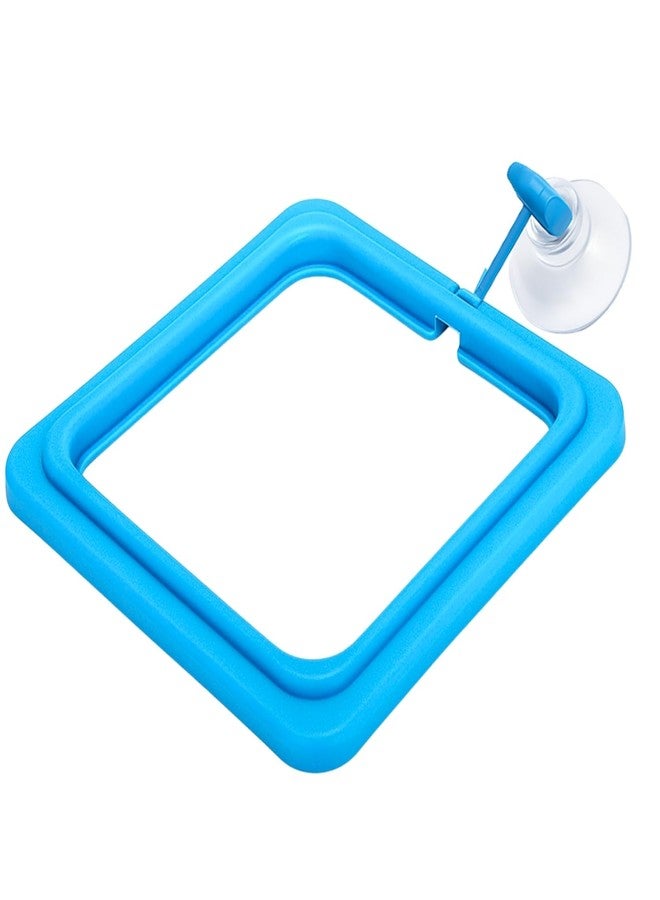 سايج سكوير حلقة تغذية عائمة مربعة الشكل من سيج سكوير لأحواض السمك | ملحق شفط قابل للتعديل | يمنع تناثر الطعام | يحافظ على نظافة حوض السمك | صينية طعام عائمة للرقائق والحبيبات | مناسبة لجميع أحواض السمك - Image 1