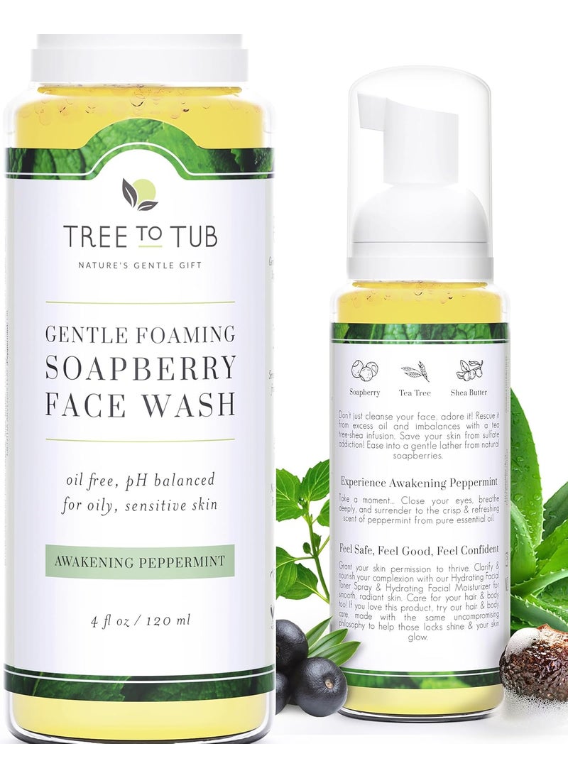 Tree to Tub - Tree to Tub Sensitive Skin Face Wash for Oily or Combination Skin  Gentle Tea Tree Face Cleanser for Women  Men Oil Free Daily Foaming Facial Cleanser wOrganic Aloe Vera All Natural Peppermint - Image 1