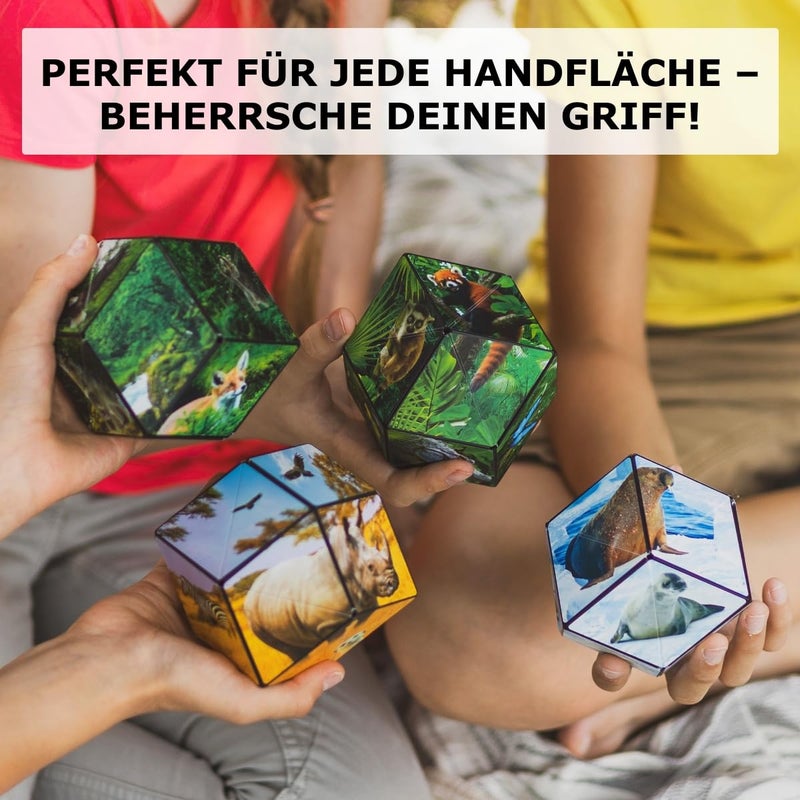 SHASHIBO Shape Shifting Box - Award-Winning  Patented Fidget Cube w/ 36 Rare Earth Magnets - Transforms Into Over 70 Shapes  Download Fun in Motion Toys Mobile App (Wild Series - Savannah) - Image 5