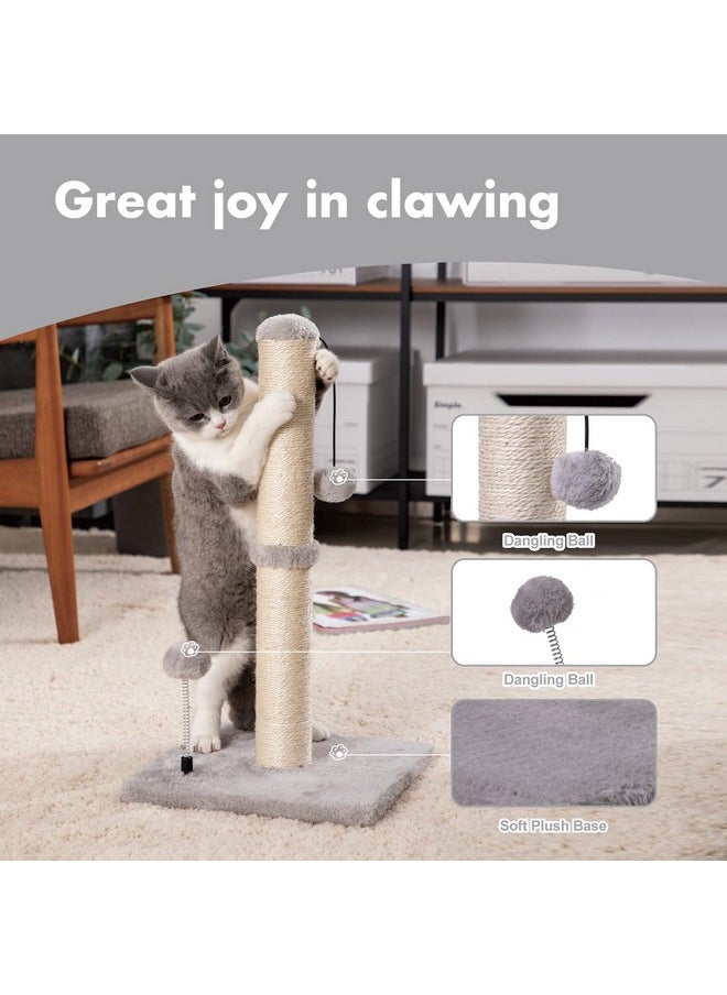 MECOOL MECOOL Cat Scratching Post Premium Basics Kitten Scratcher Sisal Scratch Posts with Hanging Ball 22" for Kittens or Smaller Cats (22 inches for Kitten, Gray)  - Image 2