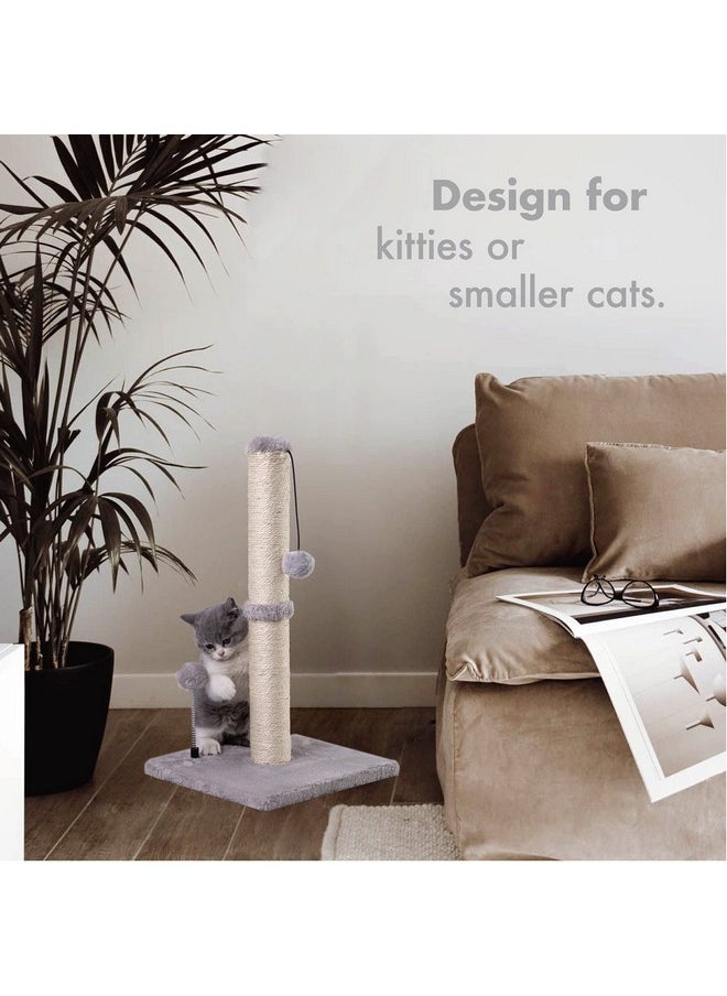 MECOOL MECOOL Cat Scratching Post Premium Basics Kitten Scratcher Sisal Scratch Posts with Hanging Ball 22" for Kittens or Smaller Cats (22 inches for Kitten, Gray)  - Image 3