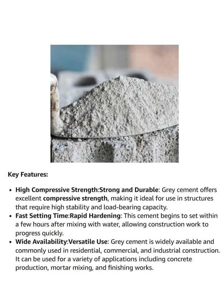 ABBASALI Grey Cement 10kg With  Bucket - Image 3