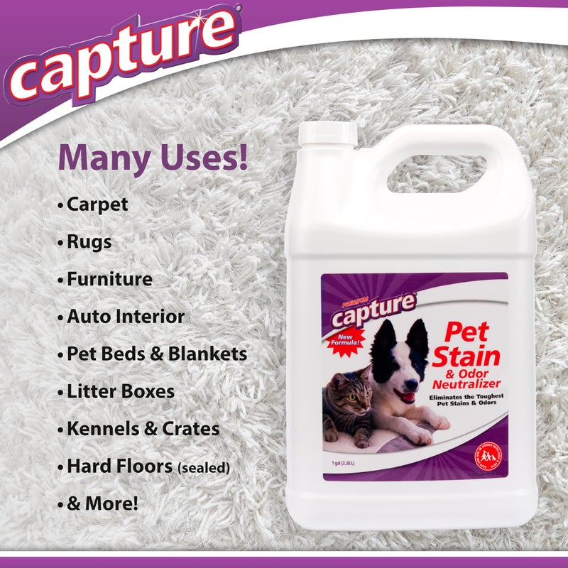 Capture Pet Stain & Odor Remover - Enzyme Pet Odor Eliminator for Home, Carpet Stain Remover for Cats & Dog Pee, Cat Urine Destroyer, Carpet Cleaner Spray - 1 Gallon - Image 4