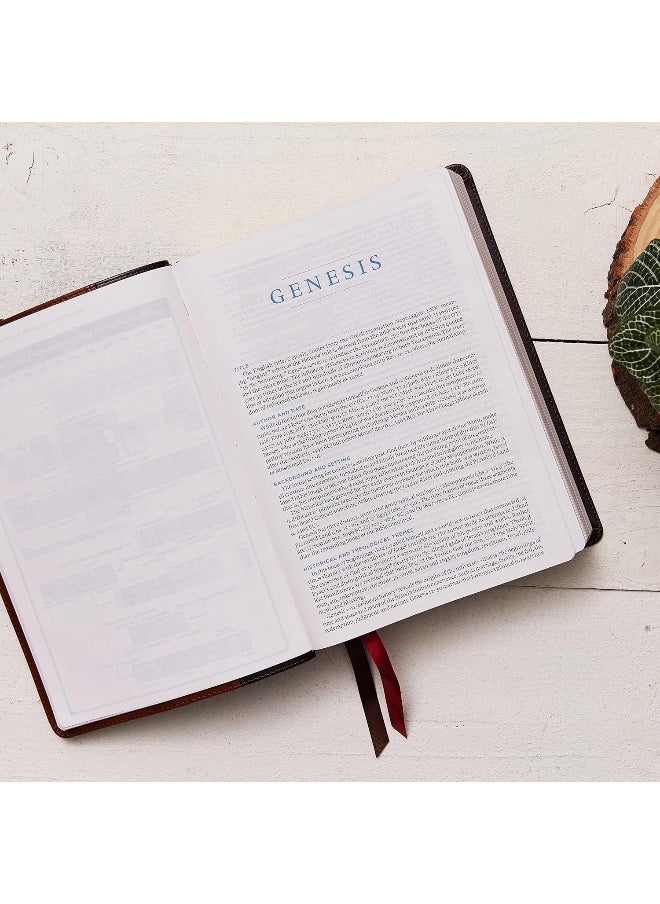 null - ESV, MacArthur Study Bible, 2nd Edition, Leathersoft, Brown: Unleashing God's Truth One Verse at a Time - Image 1