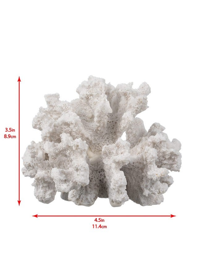 Nautical Crush Trading White Coral Decor - Coral Reef Decor (3.5inx4.5inx4in) - Resin Coral Decoration - Faux Coral - Nautical Decorations - Beach Home Decor - Decorative Coral - Image 2