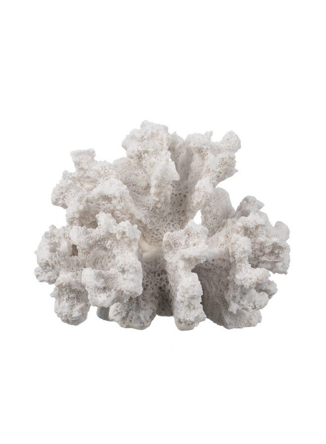 Nautical Crush Trading White Coral Decor - Coral Reef Decor (3.5inx4.5inx4in) - Resin Coral Decoration - Faux Coral - Nautical Decorations - Beach Home Decor - Decorative Coral - Image 3
