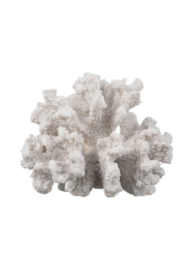 Nautical Crush Trading White Coral Decor - Coral Reef Decor (3.5inx4.5inx4in) - Resin Coral Decoration - Faux Coral - Nautical Decorations - Beach Home Decor - Decorative Coral - Image 1