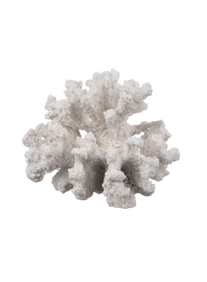 Nautical Crush Trading White Coral Decor - Coral Reef Decor (3.5inx4.5inx4in) - Resin Coral Decoration - Faux Coral - Nautical Decorations - Beach Home Decor - Decorative Coral - Image 4