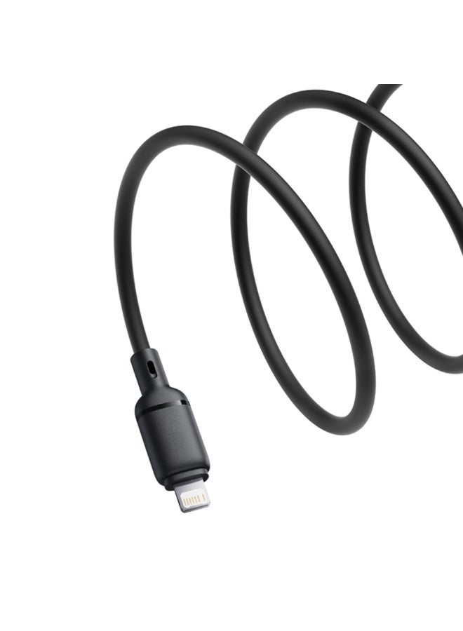 بيسوس Baseus Silky Series charging cable USB at iP 2.4A 2m black - Image 2