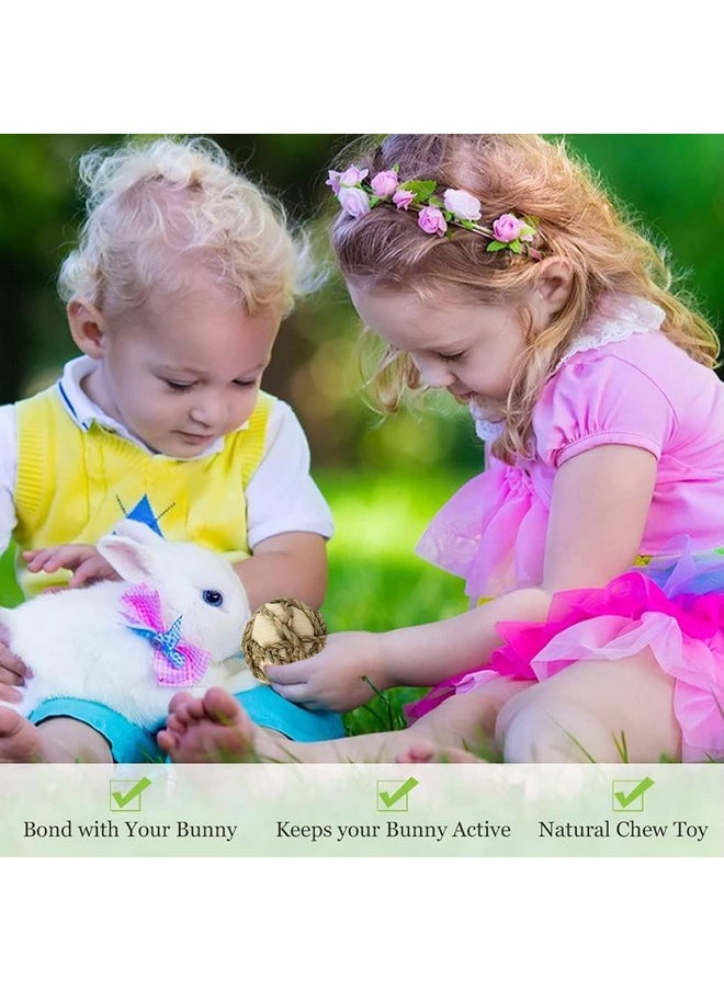 SunGrow - SunGrow Rabbit Leaf Ball, Trims Their Teeth, Entertaining Chew Item, Keep Bunny, Guinea Pig, Kitten & Chinchilla Well & Happy (3 Pack) - Image 1