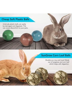 SunGrow SunGrow Rabbit Leaf Ball, Trims Their Teeth, Entertaining Chew Item, Keep Bunny, Guinea Pig, Kitten & Chinchilla Well & Happy (3 Pack)  - Image 4