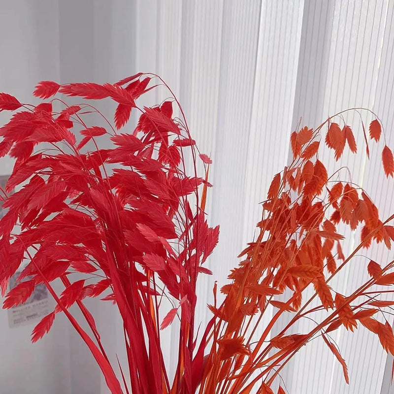 Bluejw Little Hope Grass Eternal Preserved Dried Flower Bouquet – Long-Lasting 3-5 Years, Post-Modern Home Decor Ornament with Natural Dried Plants - Image 3