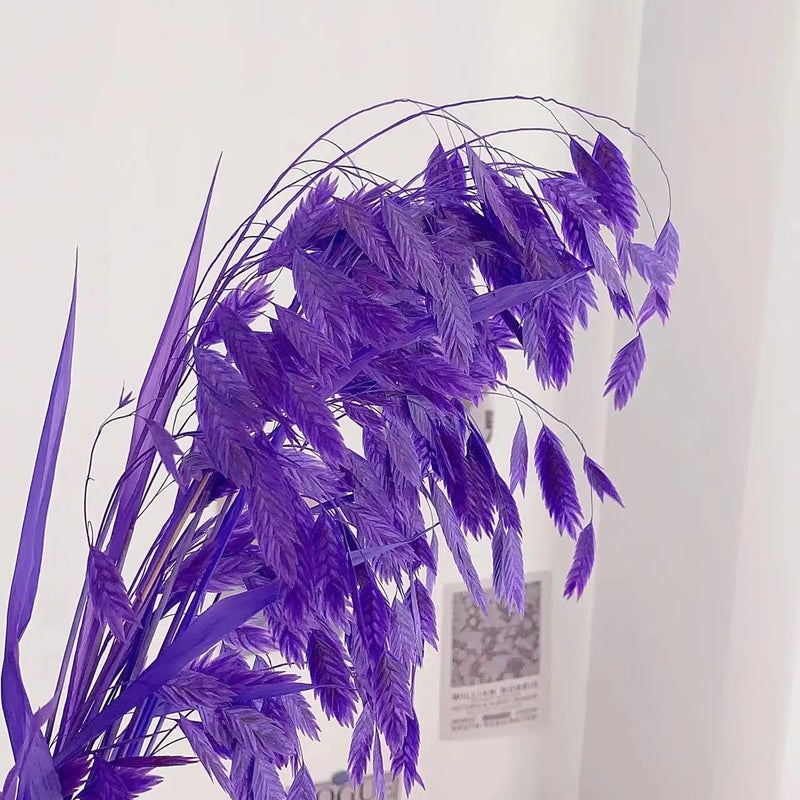 Bluejw Little Hope Grass Eternal Preserved Dried Flower Bouquet – Long-Lasting 3-5 Years, Post-Modern Home Decor Ornament with Natural Dried Plants - Image 1