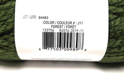 Charisma Loops & Threads Charisma Yarn 1 Ball Forest 3.5 ounces - Image 3