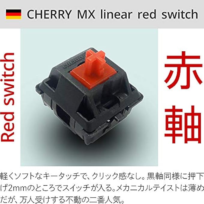 rayihni 91 KEY JAPANESE ARRAY USB & PS2 BOTH CORRESPONDING N KEY ROLLOVER CORRESPONDING GERMANY CHERRYMX RED AXIS MECHANICAL SWITCH KEYBOARD BLACK FKBN91MRL/JB2 MAJESTOUCH2 91 RED AXIS FILCO (JAPAN IMPORT) - Image 3