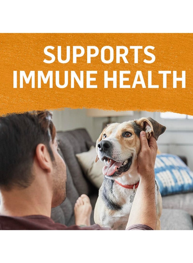 بورينا وصفة الدجاج والبطاطا الحلوة الخالية من القفص في مرق ويت دوج فوود 354 جم - Image 2