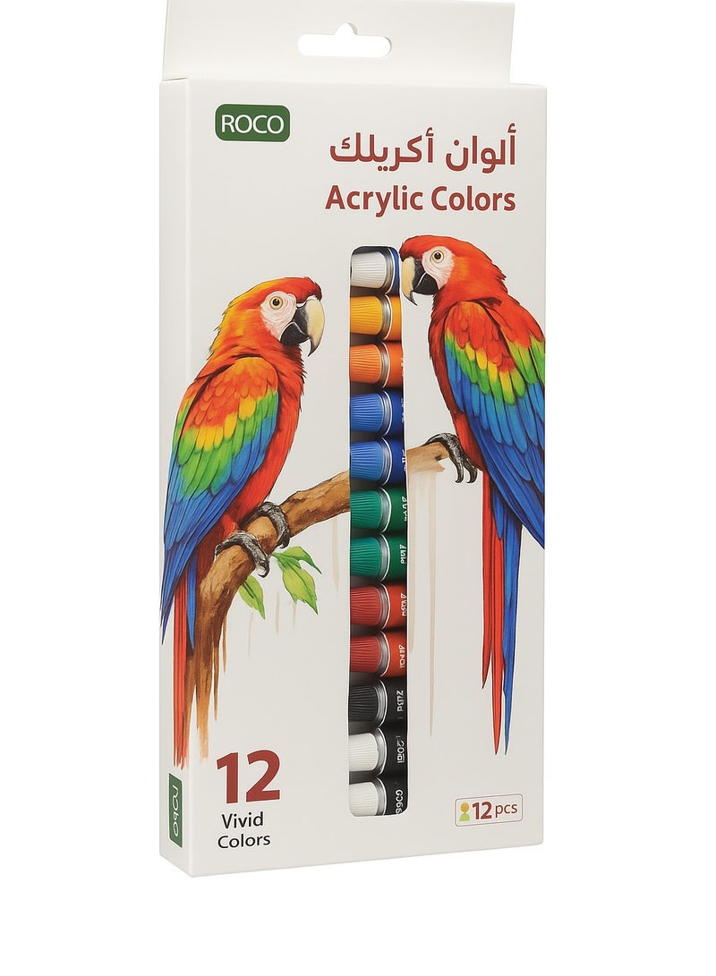 روكو مجموعة ألوان أكريليك 12 قطعة متعددة الألوان – غير سامة وتجف بسرعة - Image 1