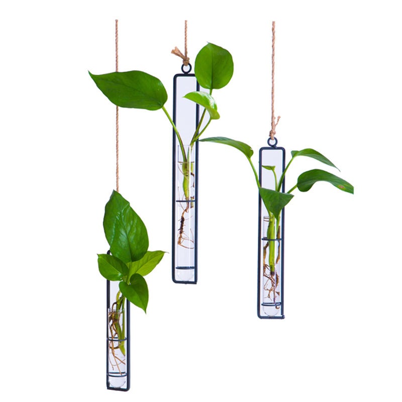 AQRICHFOX 3 Pieces Hanging Glass Hydroponic Planter Transparent Test Tube Plant Vase Terrarium Container for Indoor Outdoor Modern Home Decoration (Black) - Image 1