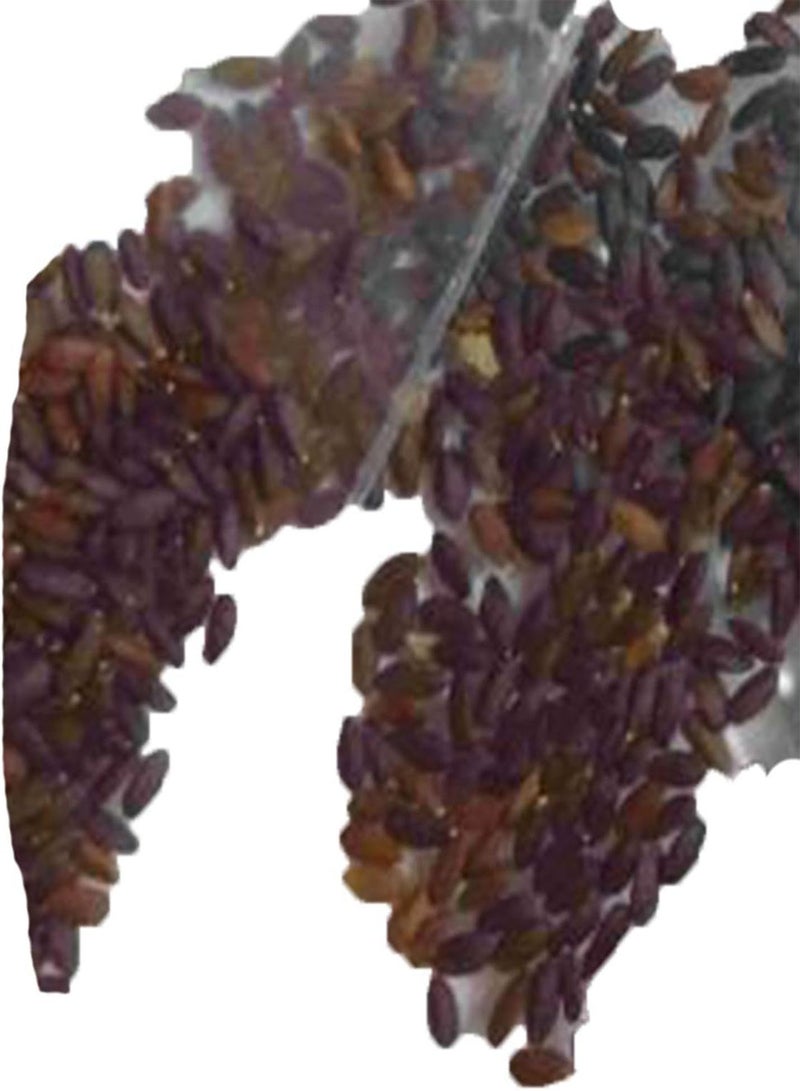 GGOOT 100Pcs/Bag Aloe Vera Seeds, Plant Mixs Lightweight Color Rustic Bonsai Seeds for Garden Decor Orange - Image 5