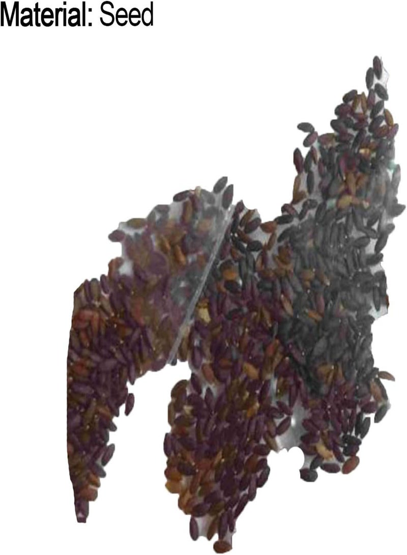 GGOOT 100Pcs/Bag Aloe Vera Seeds, Plant Mixs Lightweight Color Rustic Bonsai Seeds for Garden Decor Orange - Image 4