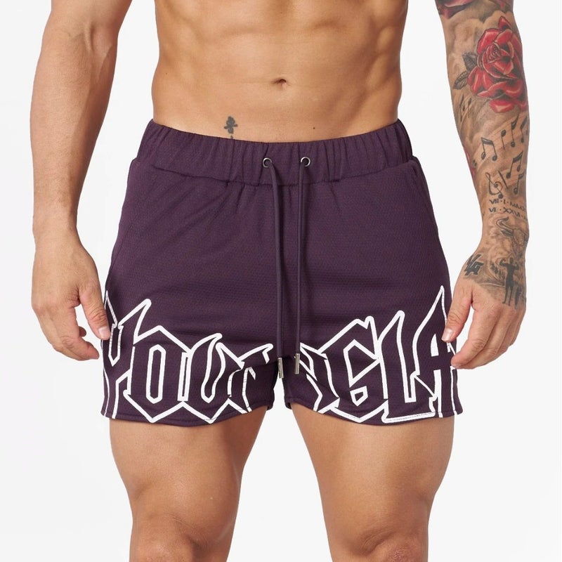 Youngla Sports Fitness Shorts Mesh Quick Dry Breathable Basketball Training Shorts Casual Beach Pants - Image 3