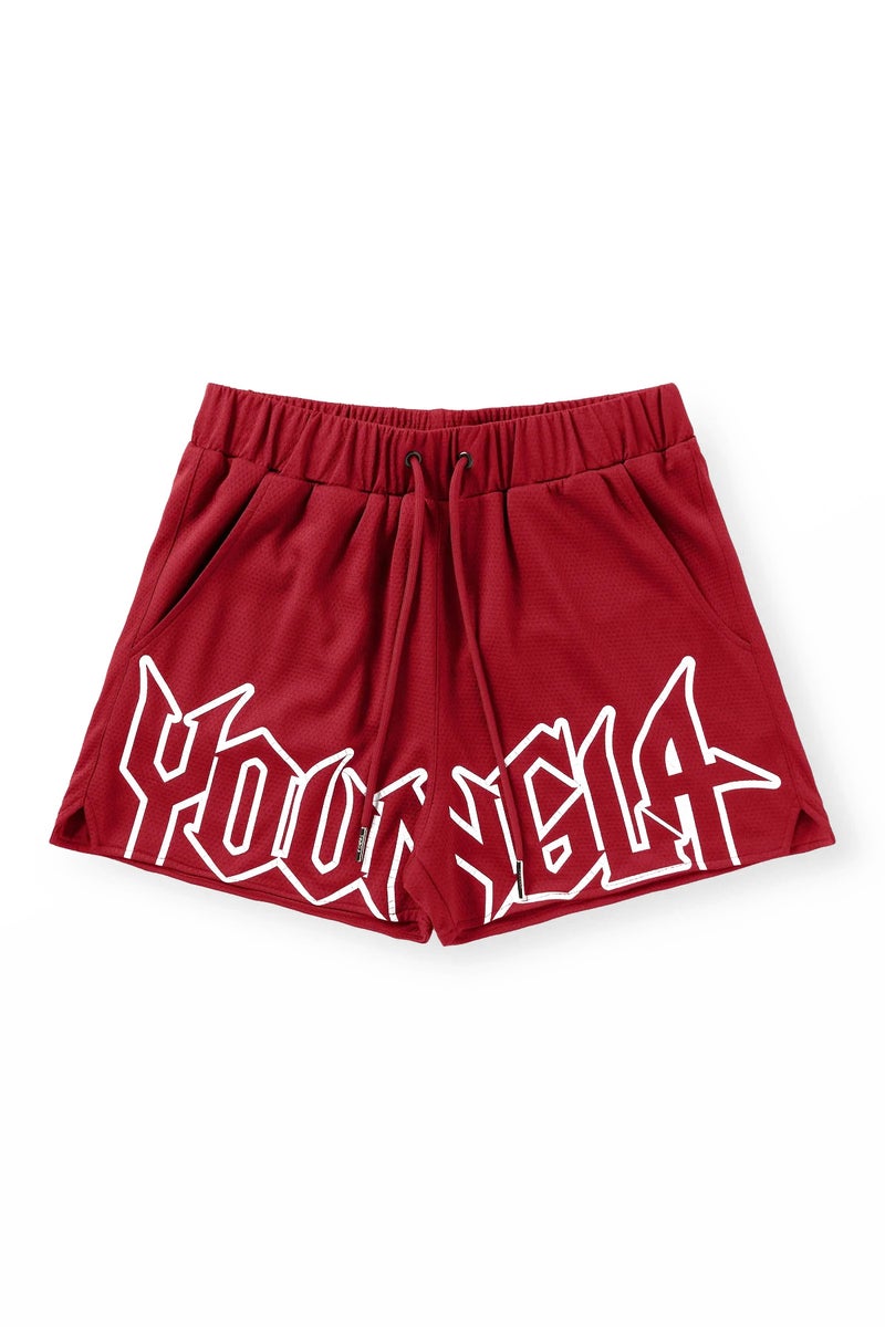 Youngla Sports Fitness Shorts Mesh Quick Dry Breathable Basketball Training Shorts Casual Beach Pants - Image 1