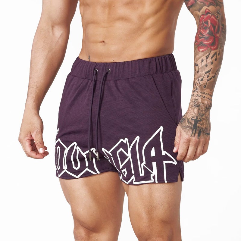 Youngla Sports Fitness Shorts Mesh Quick Dry Breathable Basketball Training Shorts Casual Beach Pants - Image 4