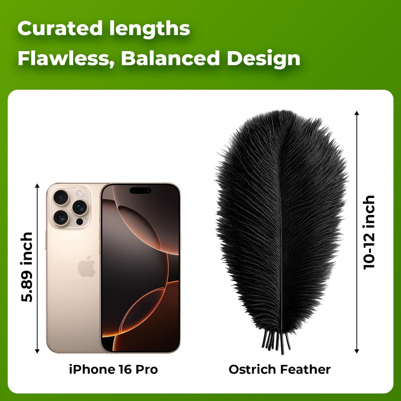 Piokio 20 Pieces Ostrich Feathers Plumes 10-12 Inches(25-30 Cm) In Bulk For Wedding Party Centerpieces Home Decorations - Image 2