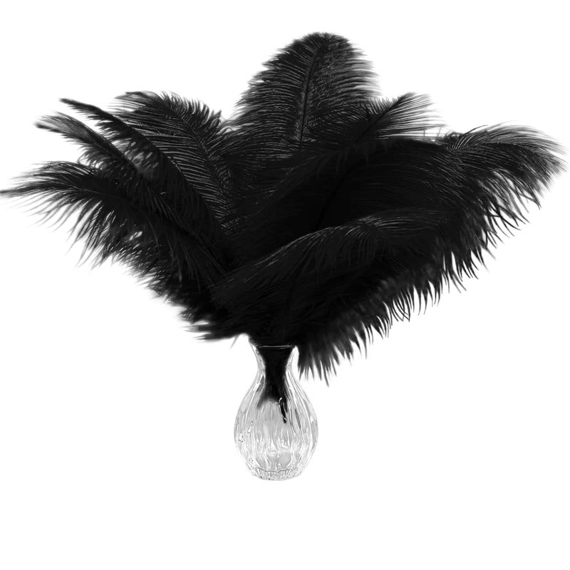Piokio 20 Pieces Ostrich Feathers Plumes 10-12 Inches(25-30 Cm) In Bulk For Wedding Party Centerpieces Home Decorations - Image 1