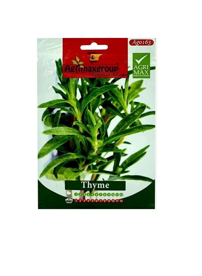 Agrimax Thyme Premium Quality Seeds by Agrimaxgroup® - Image 1